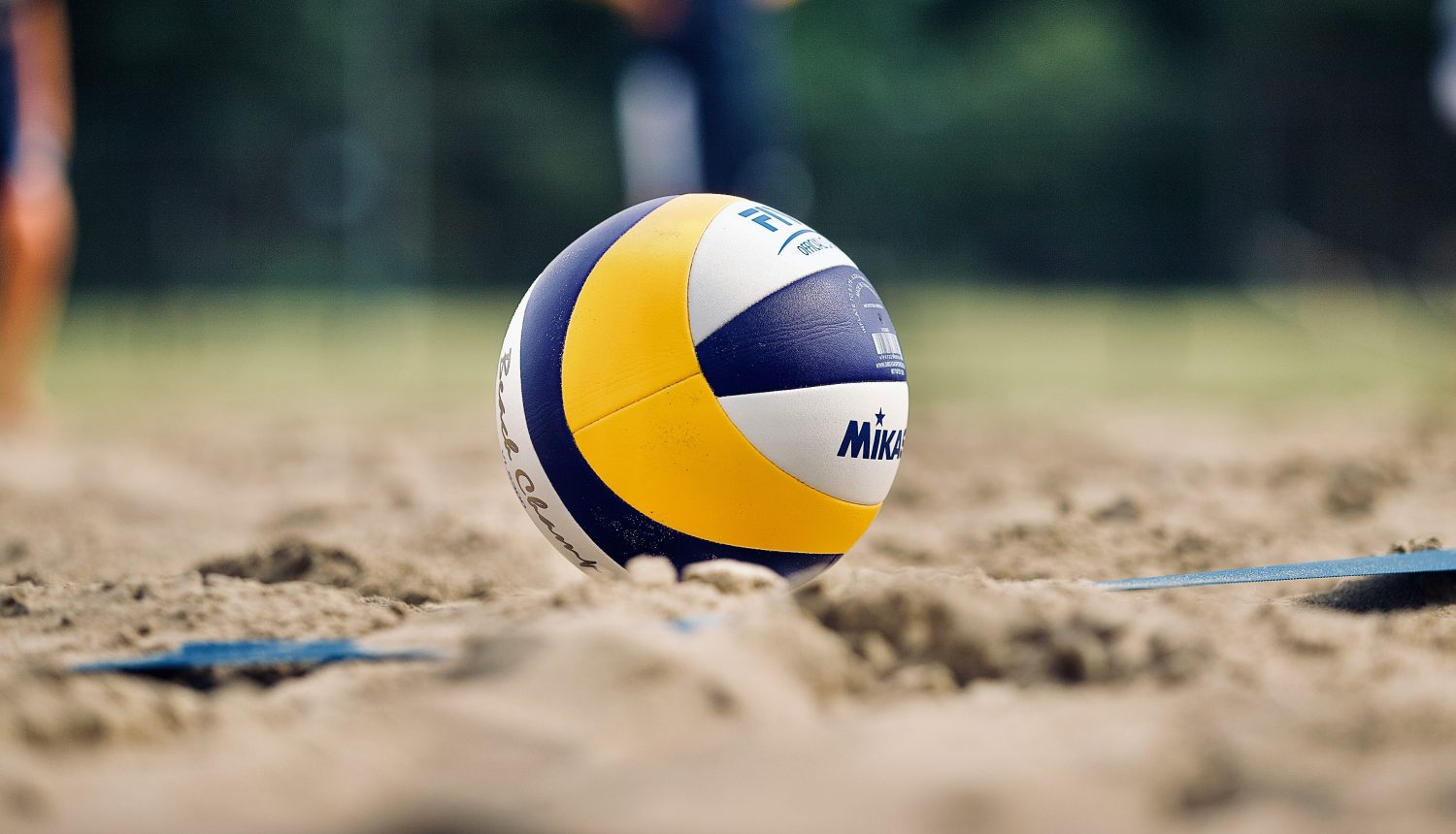 We are the Champions!