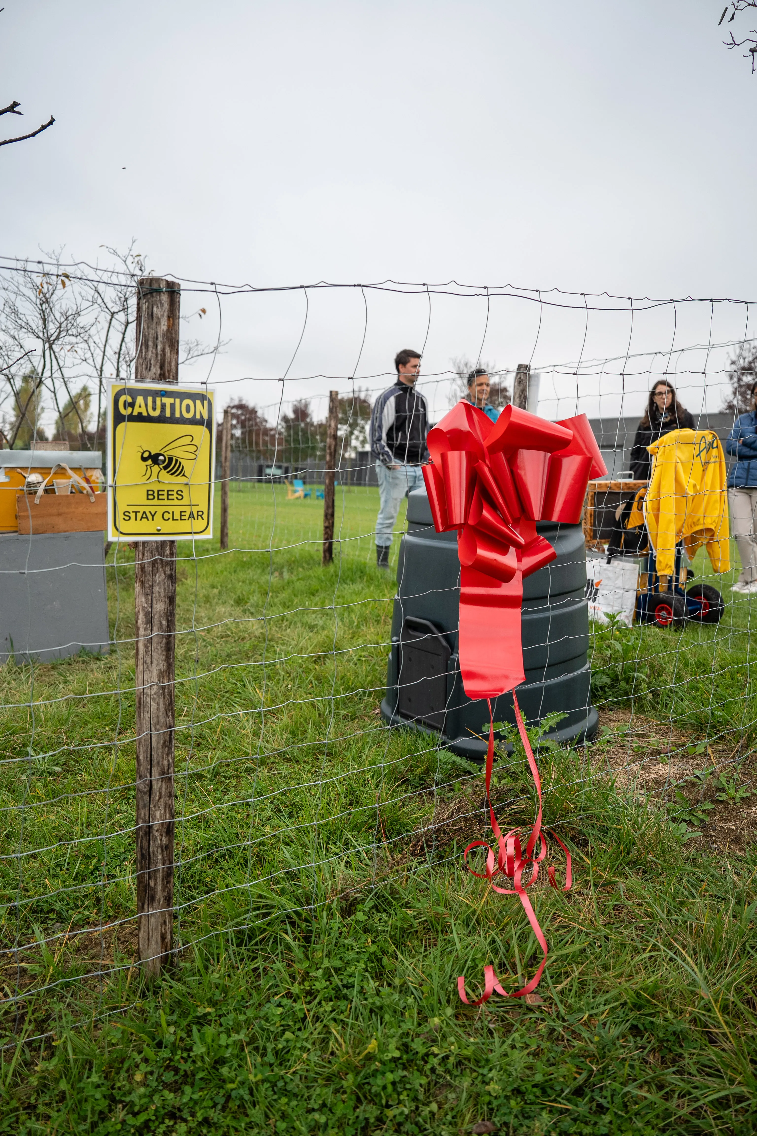 The Bee-Farm Project: A Story of Commitment and Sustainability Between ...