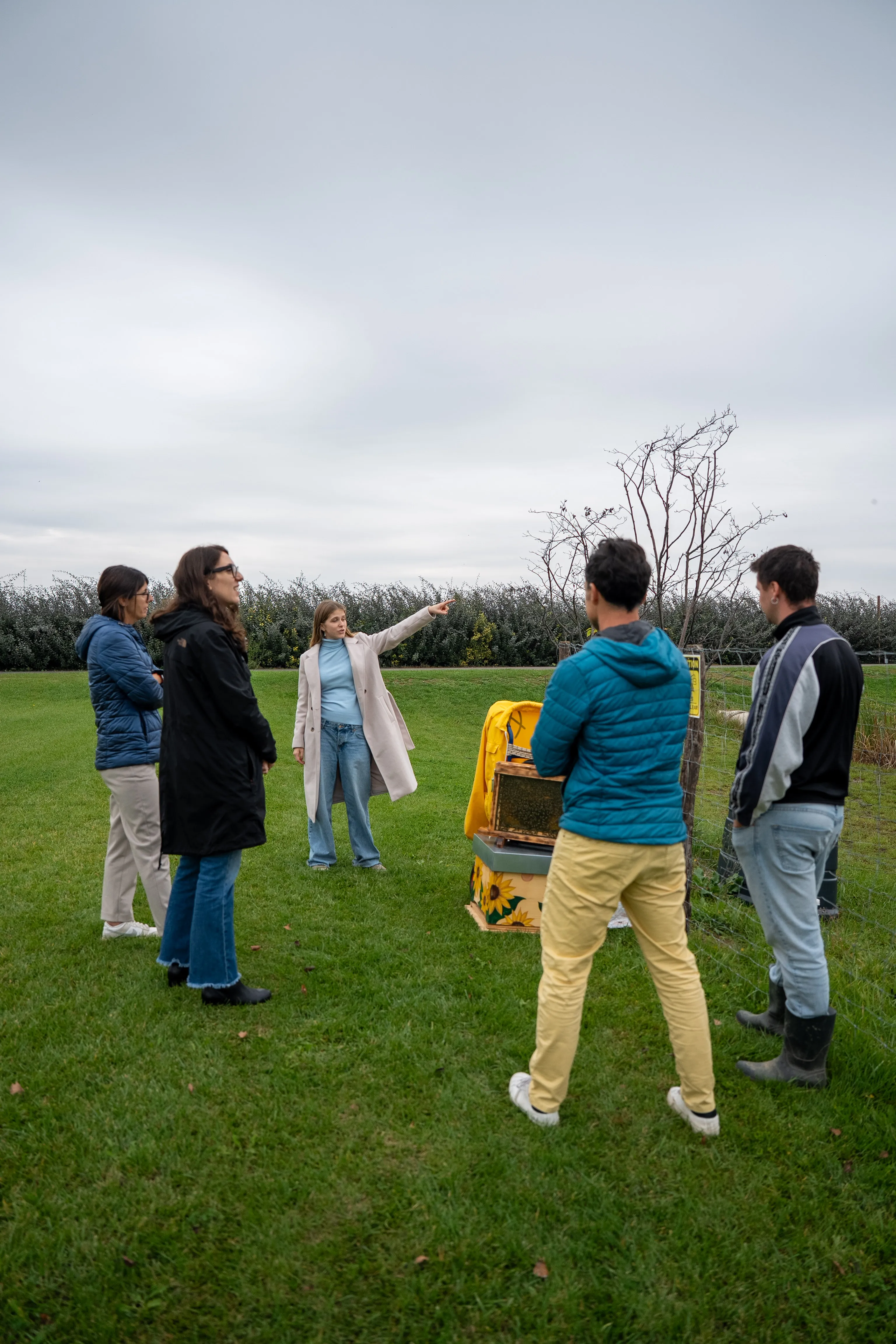 The Bee-Farm Project: A Story of Commitment and Sustainability Between ...